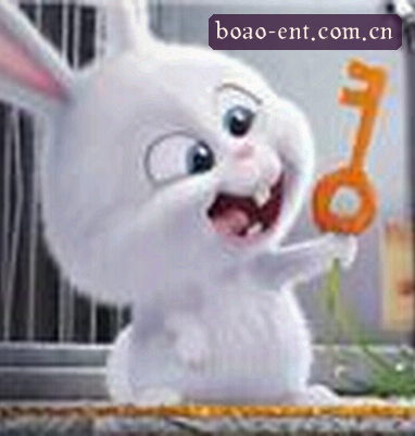 郑丽
